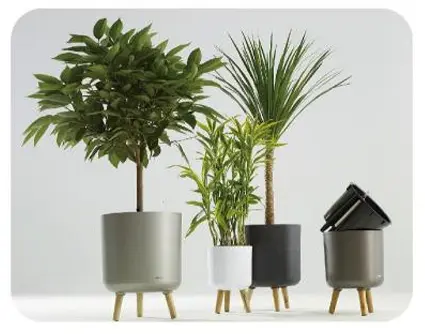 Self Watering Planter Pots - ZJ Series