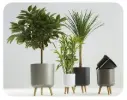 Self Watering Planter Pots - ZJ Series